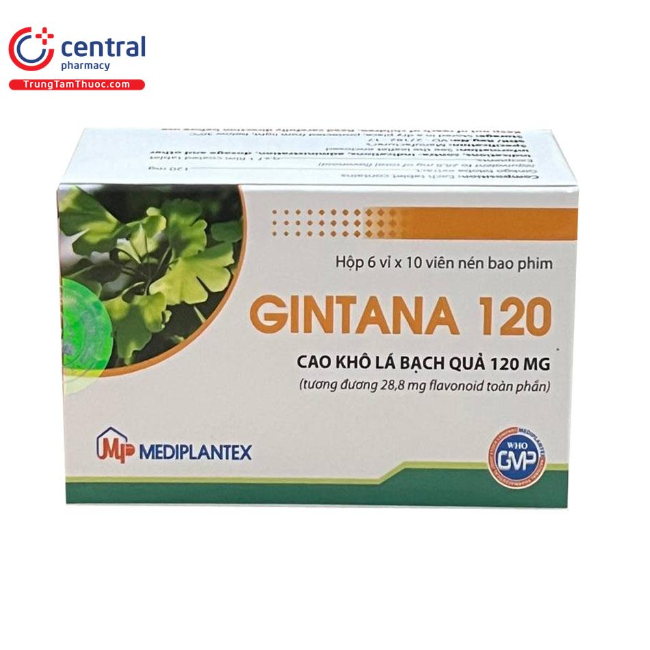 gintana 120 1 L4117