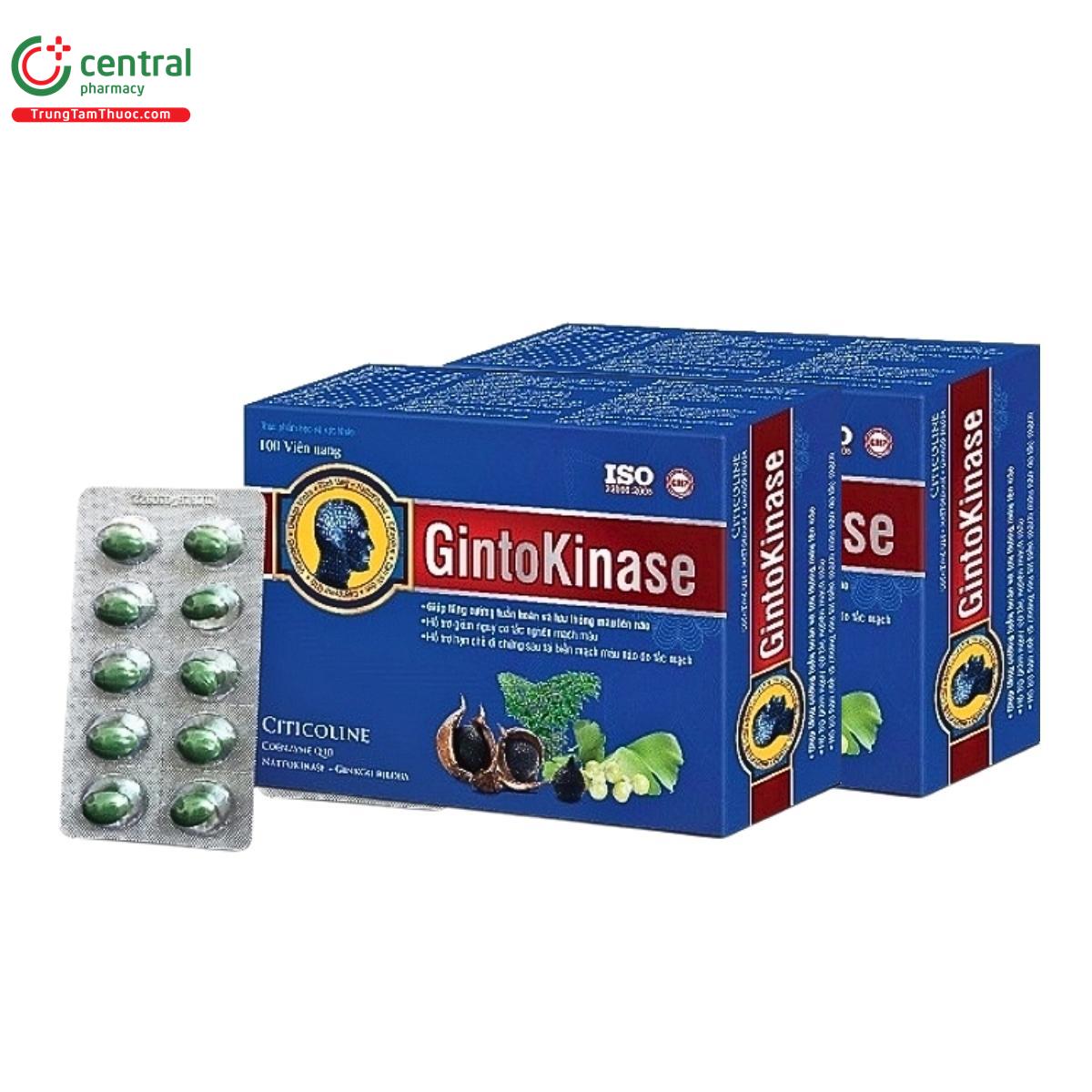 gintokinase 2 C0065 gintokinase 2 C0065