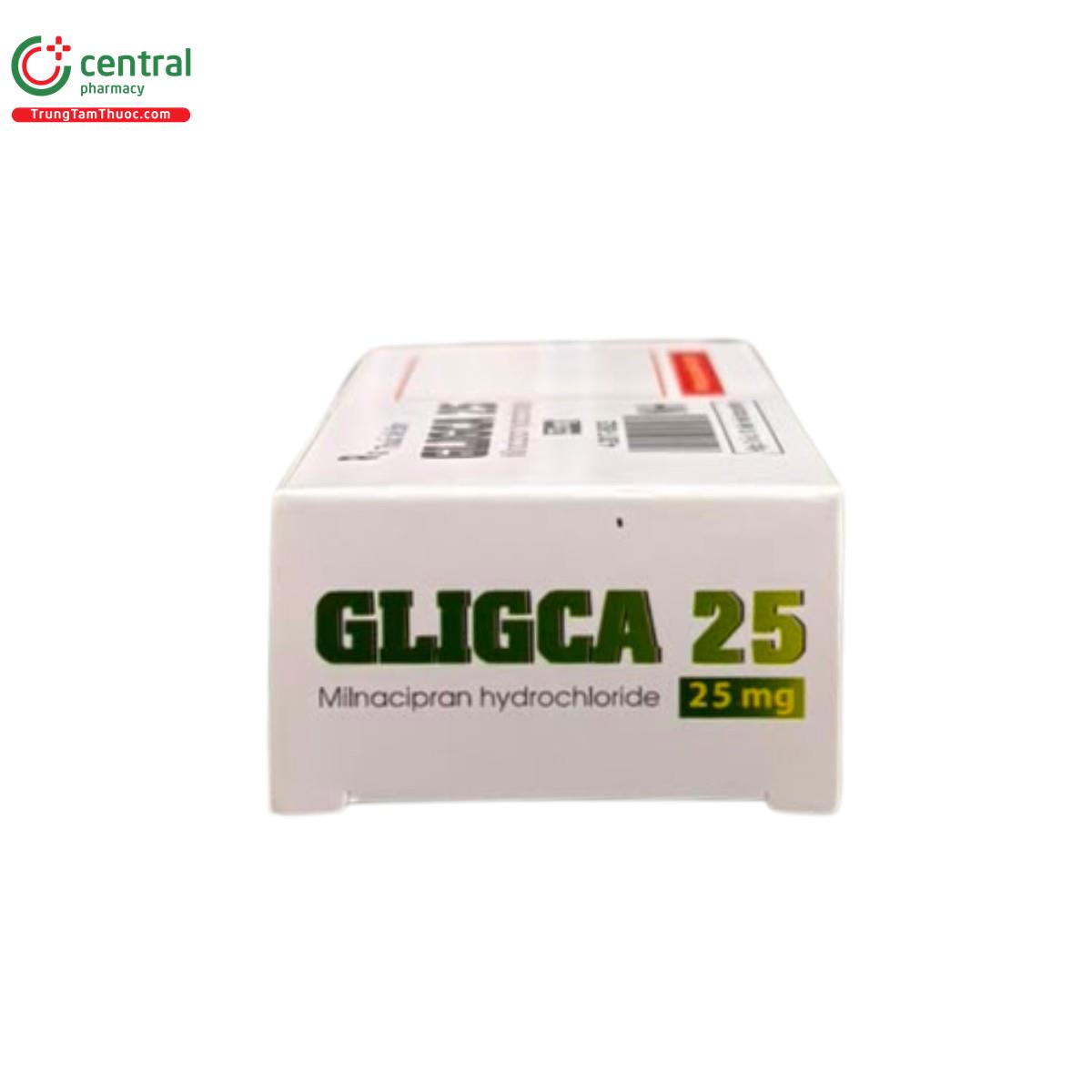 gligca 25 2 K4402 gligca 25 2 K4402