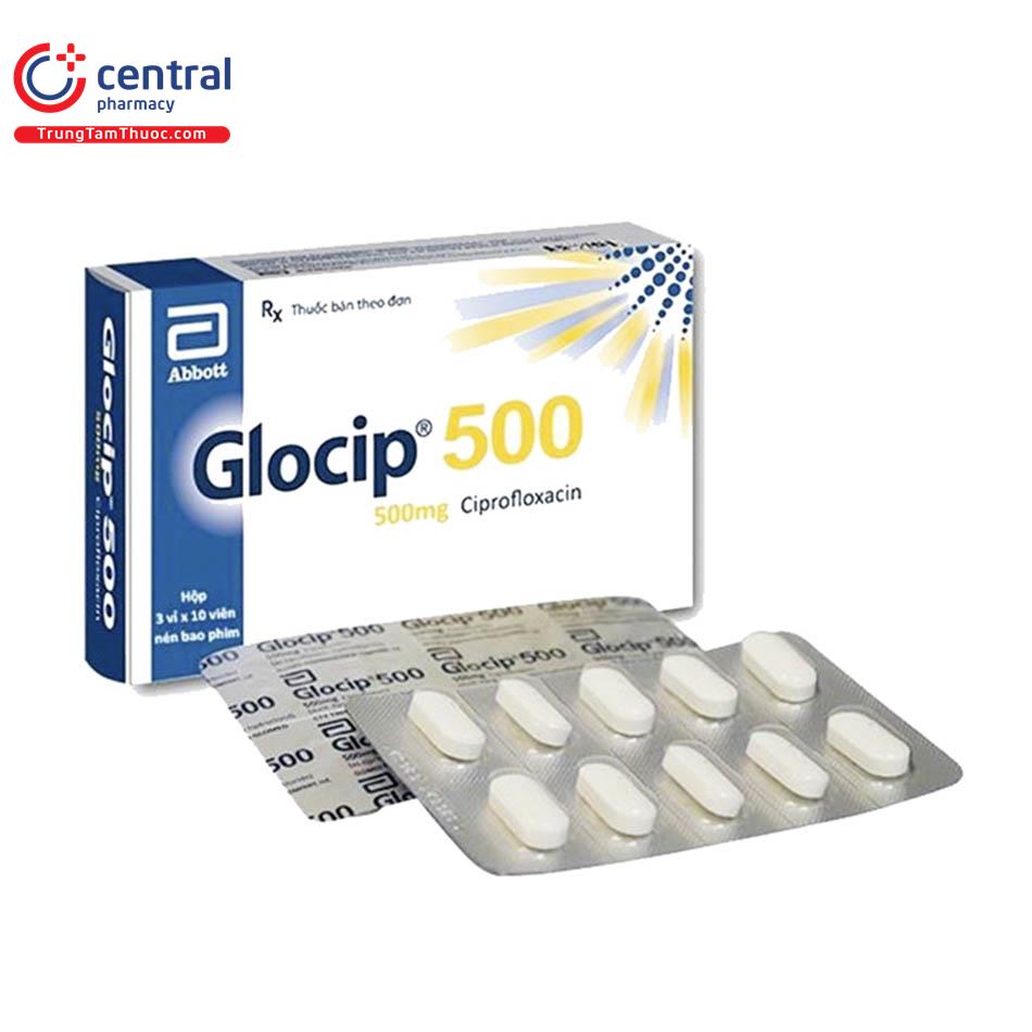 glocip 500 1 C1642