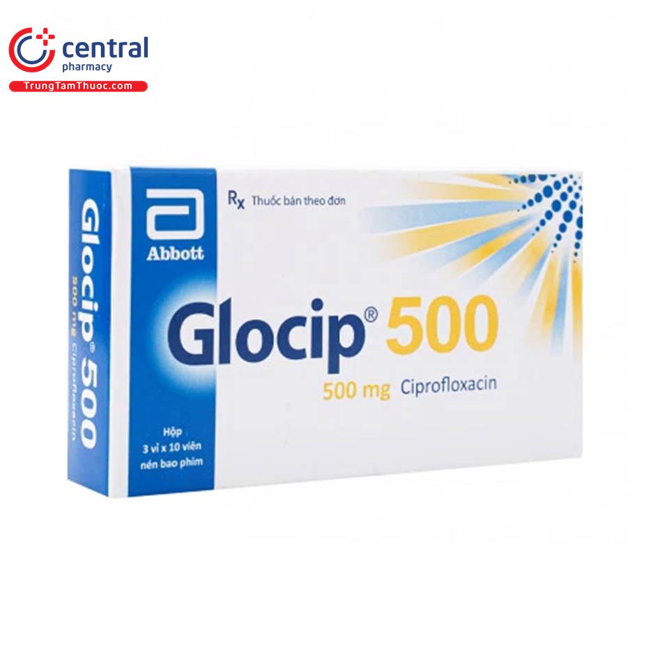 glocip 500 2 S7511