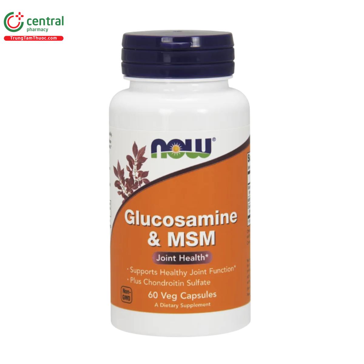 glucosamin msm 1 G2071