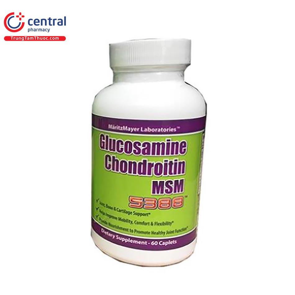 glucosamine chondroitin msm 5388 3 C0288