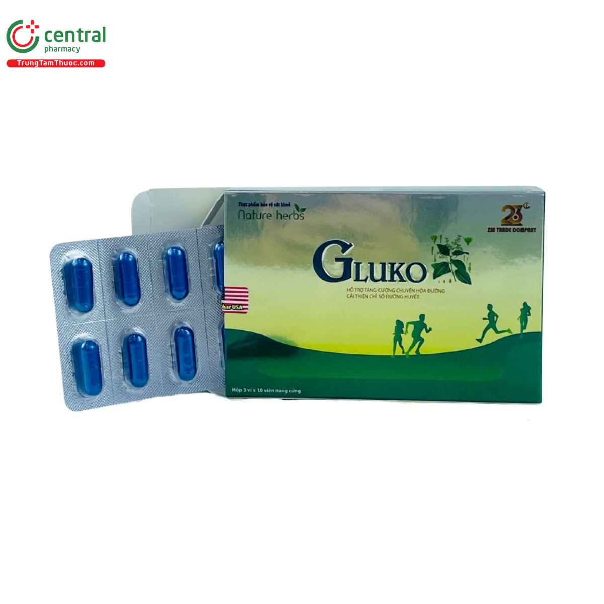 gluko 2 T8577 gluko 2 T8577