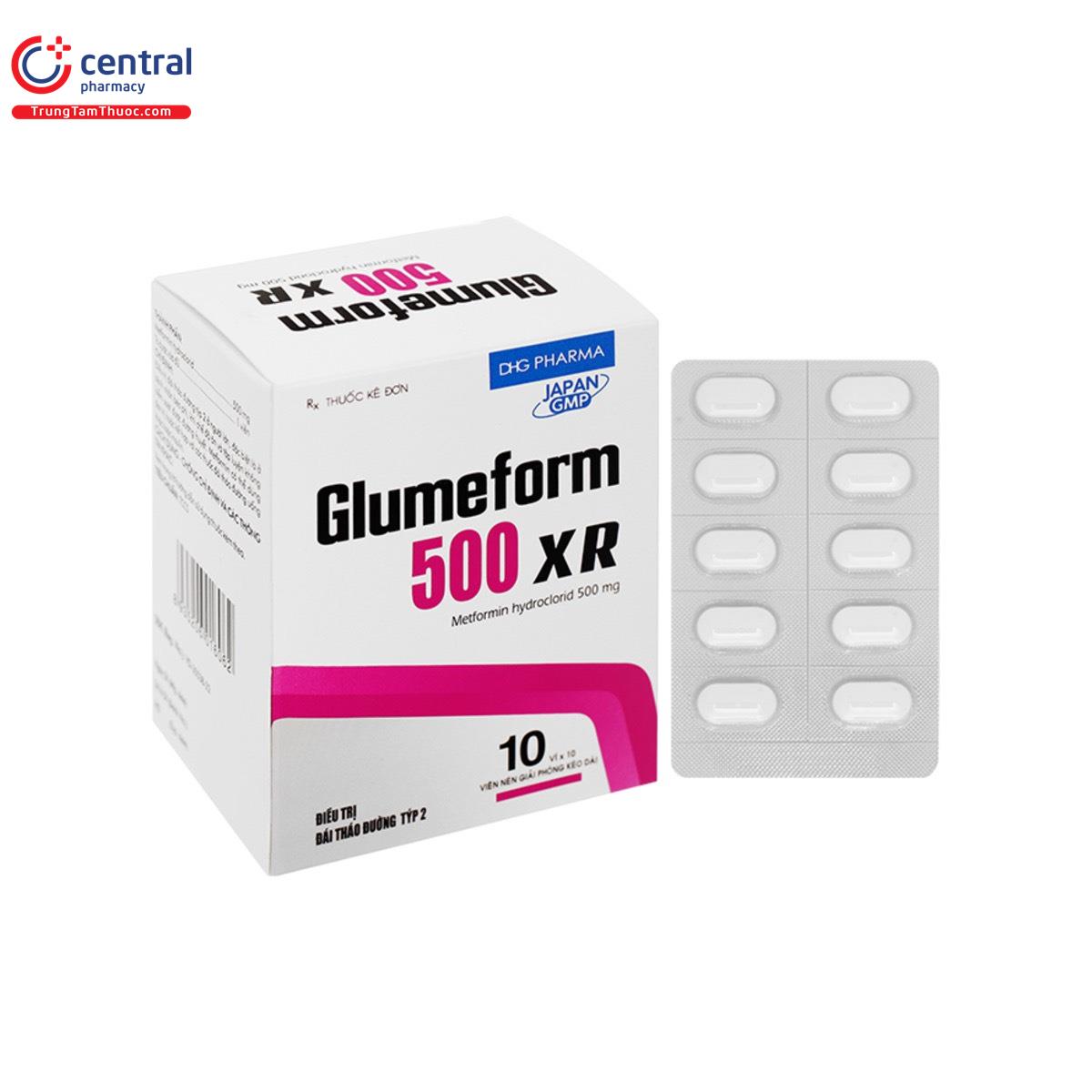 glumeform 500 xr 2 B0013