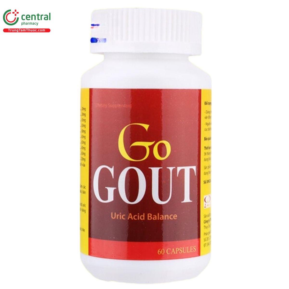 go gout 2 P6863