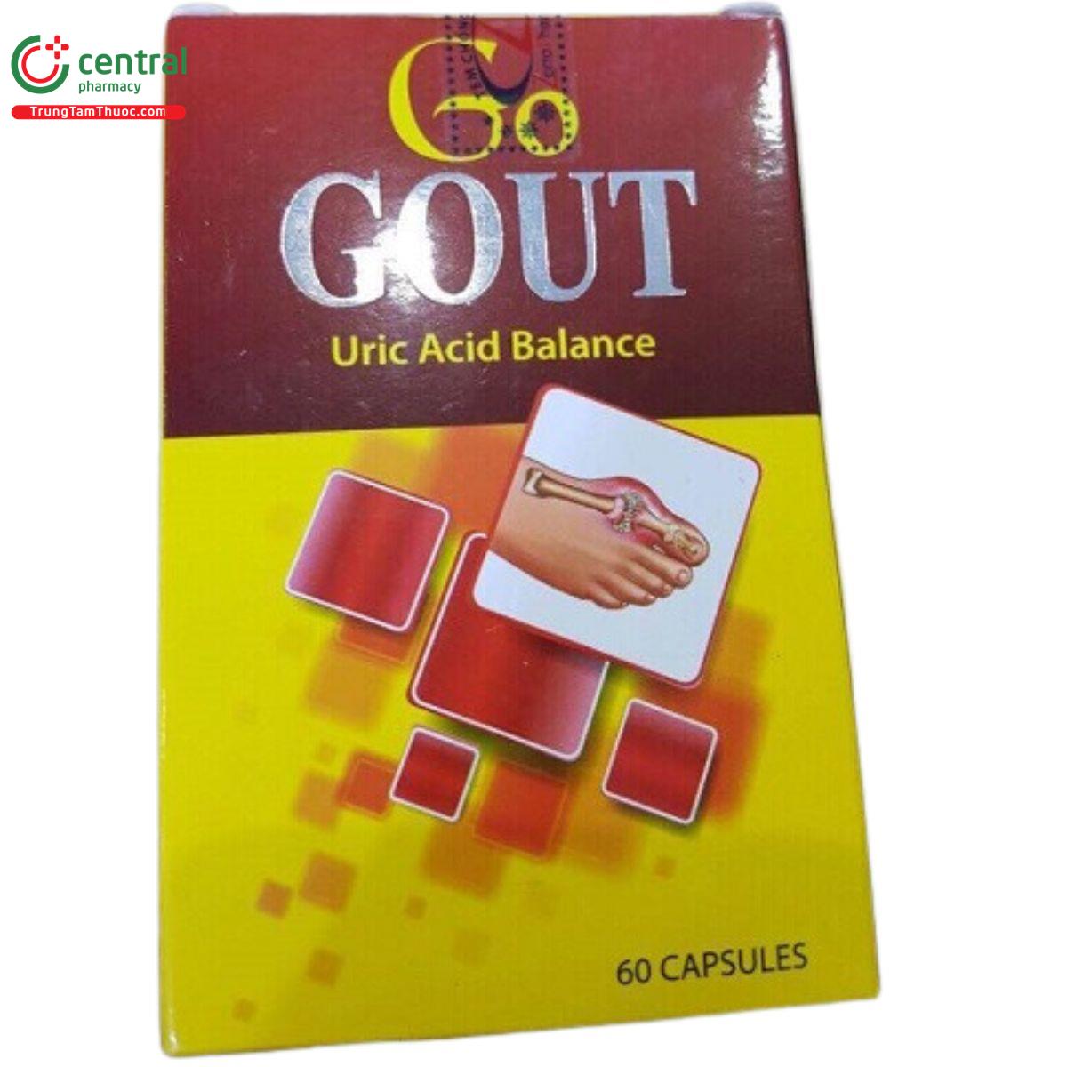 go gout 6 B0402