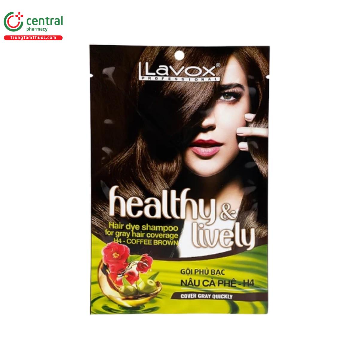 goi phu bac lavox healthy lively h4 nau ca phe 9 V8006