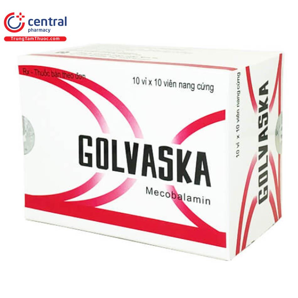 golvaskavienttt2 A0147