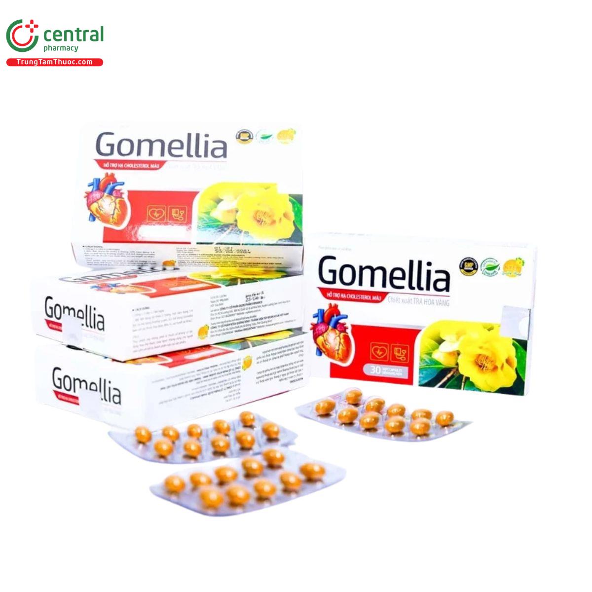 gomellia 4 V8818 gomellia 4 V8818