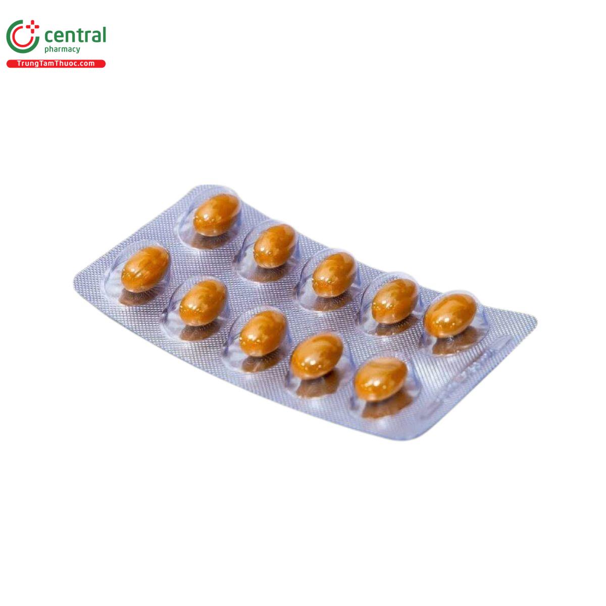 gomellia 6 P6258 gomellia 6 P6258