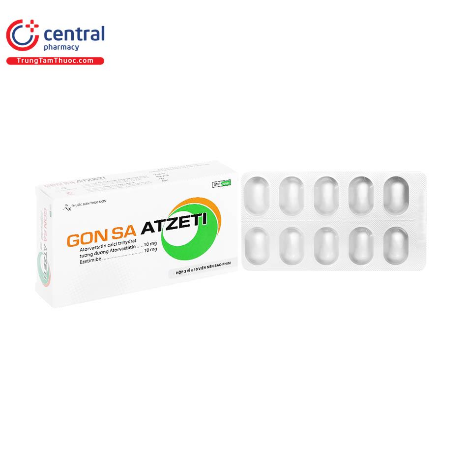 gonsa atzeti 10 10 2 L4043