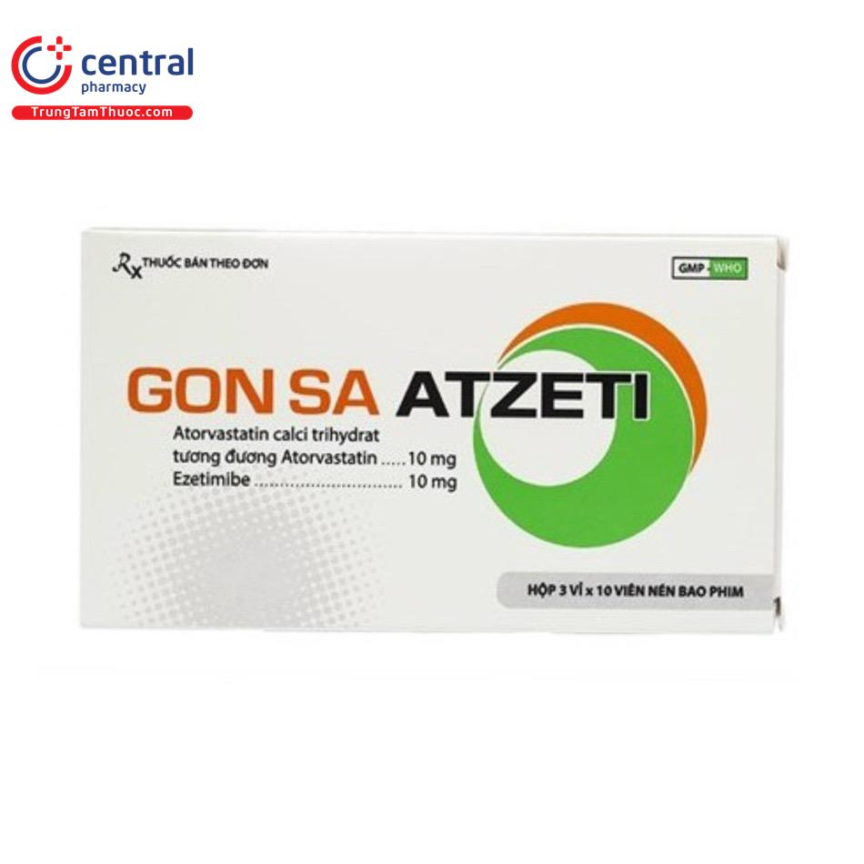 gonsa atzeti 10 10 6 S7866