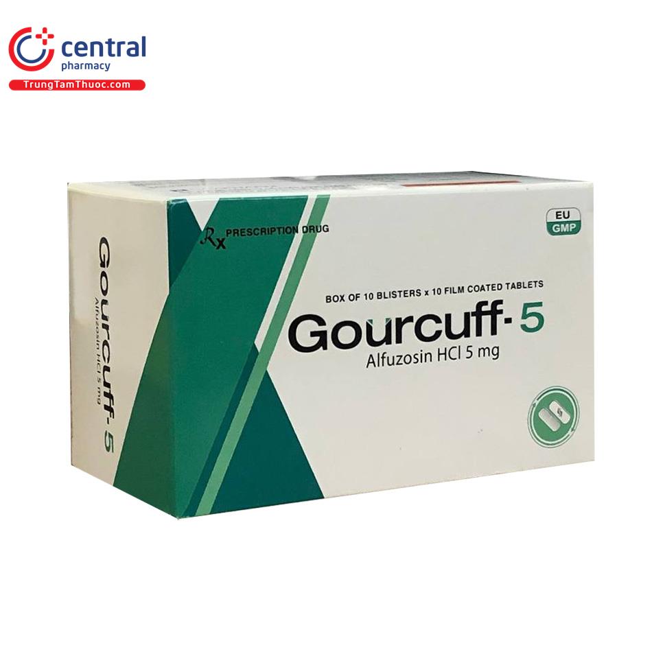 gourcuff 5 3 F2737