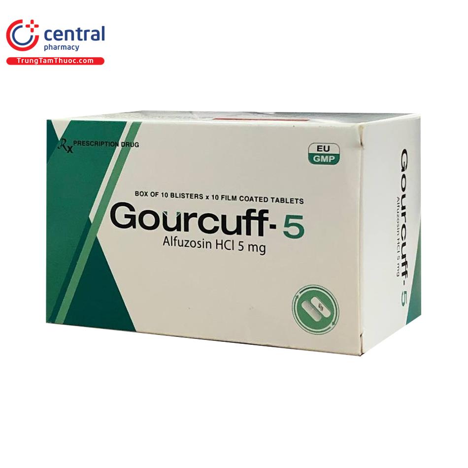 gourcuff 5 4 V8681