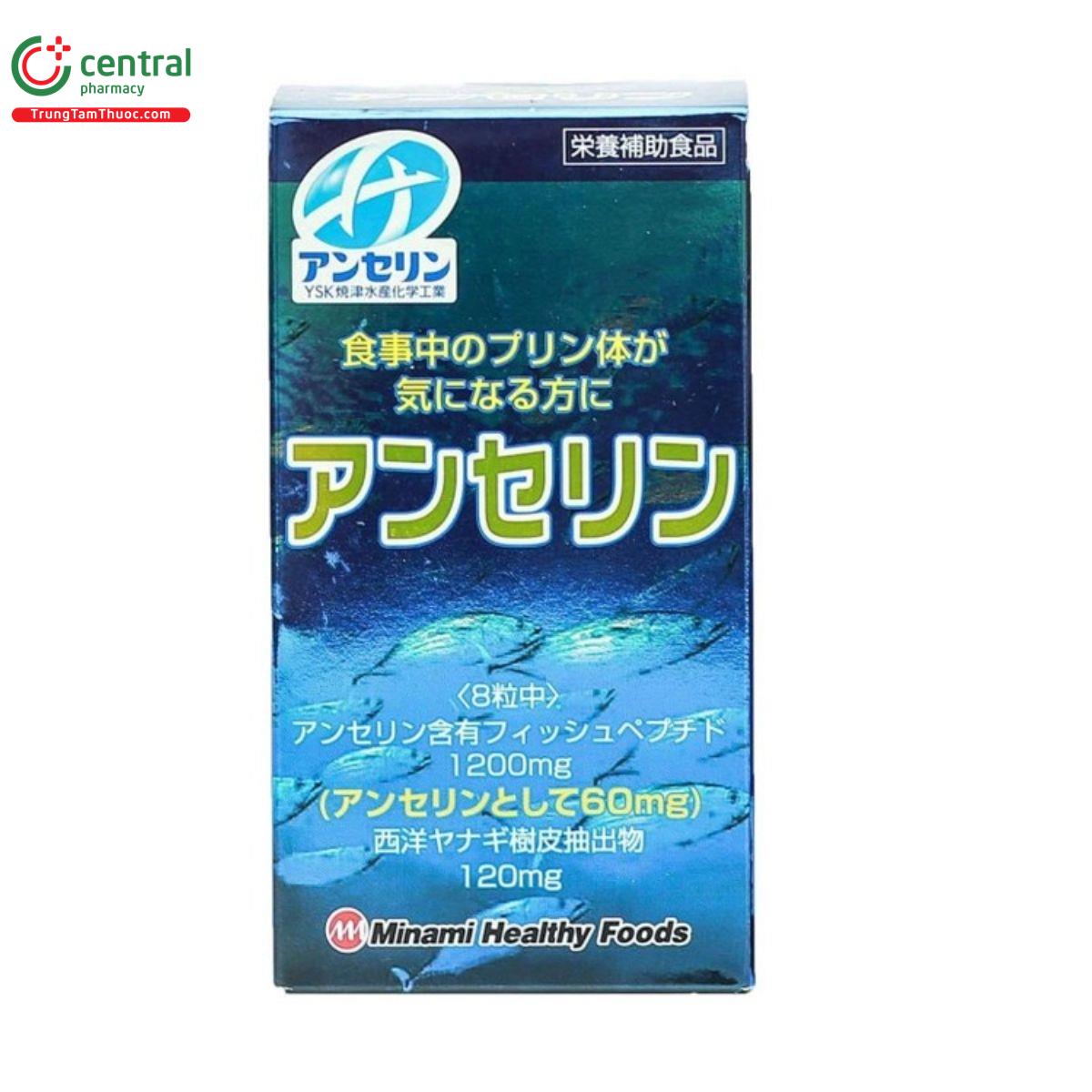 gout anserine minami 10 L4757