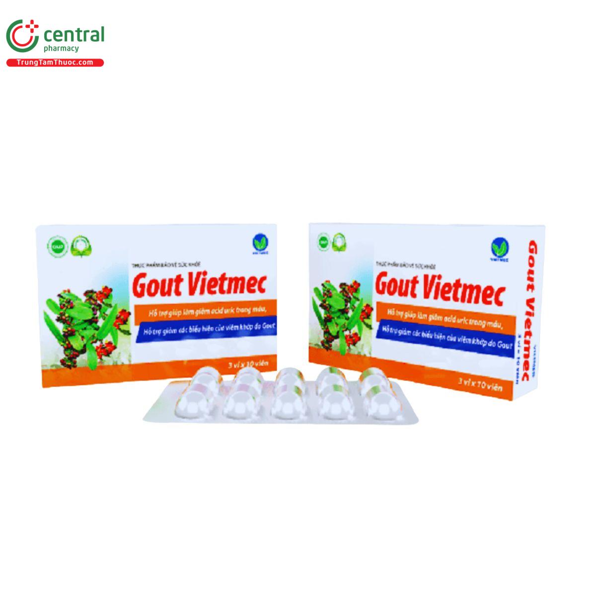 gout vietmec 1 H3233