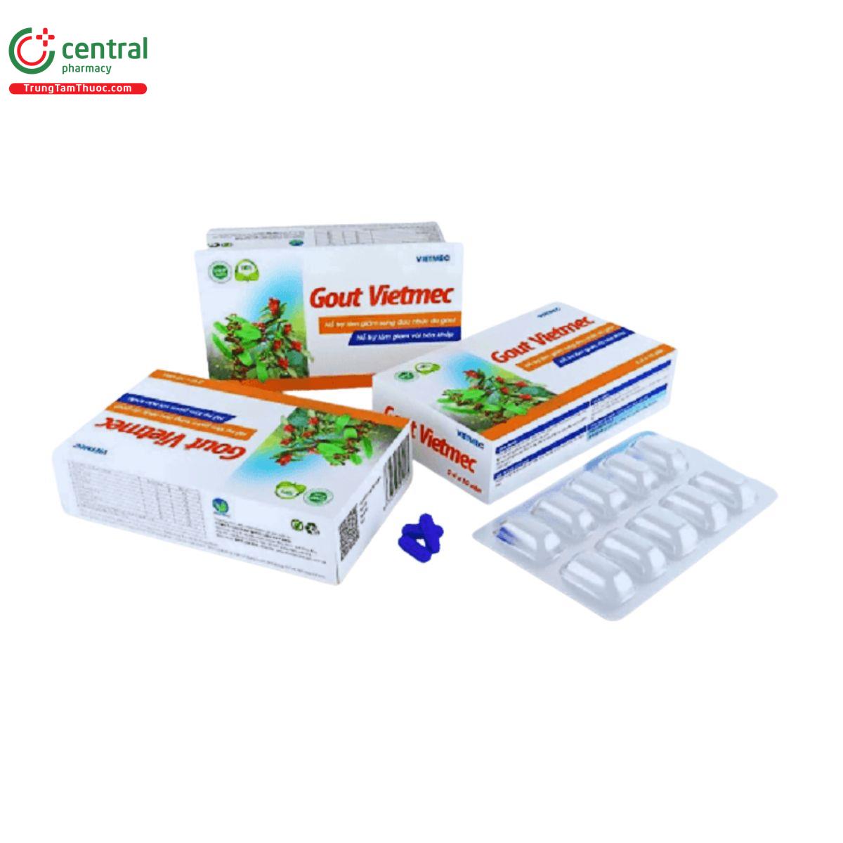 gout vietmec 2 A0506