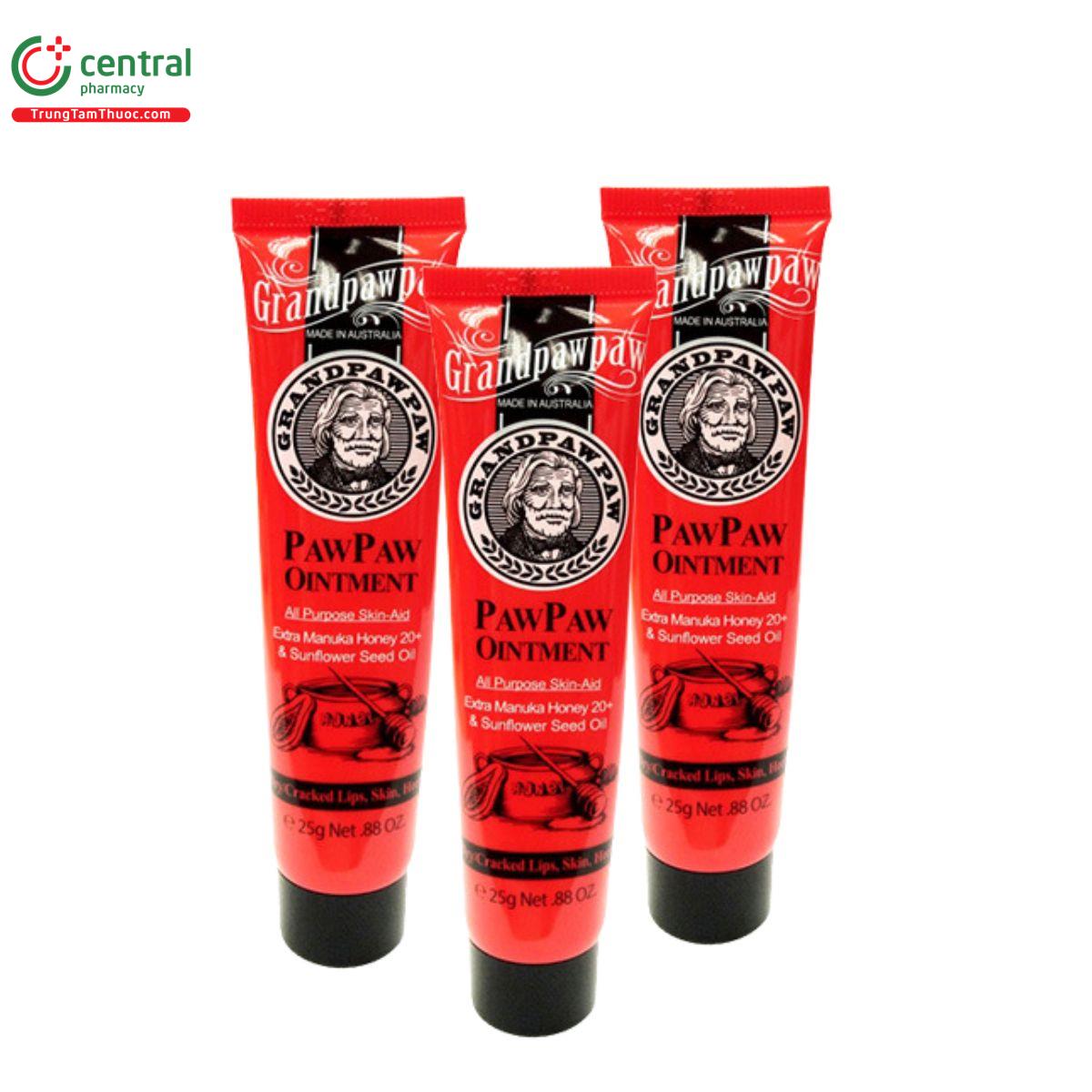 grandpawpaw pawpaw ointment 1 C0648