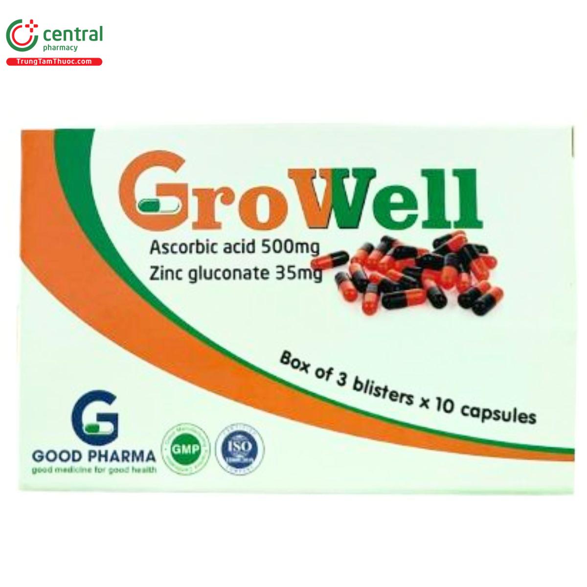 growell 2 K4068