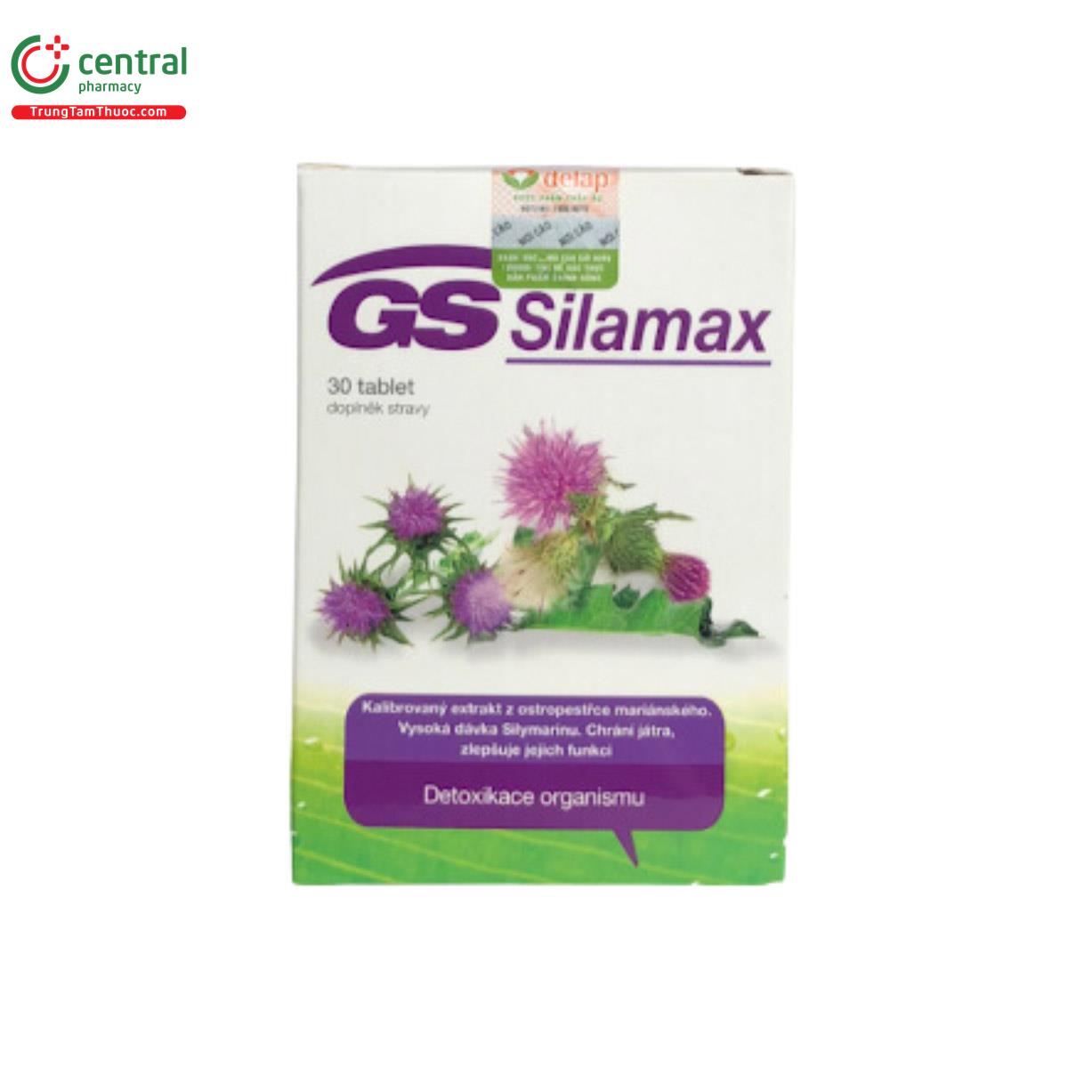 GS Silamax