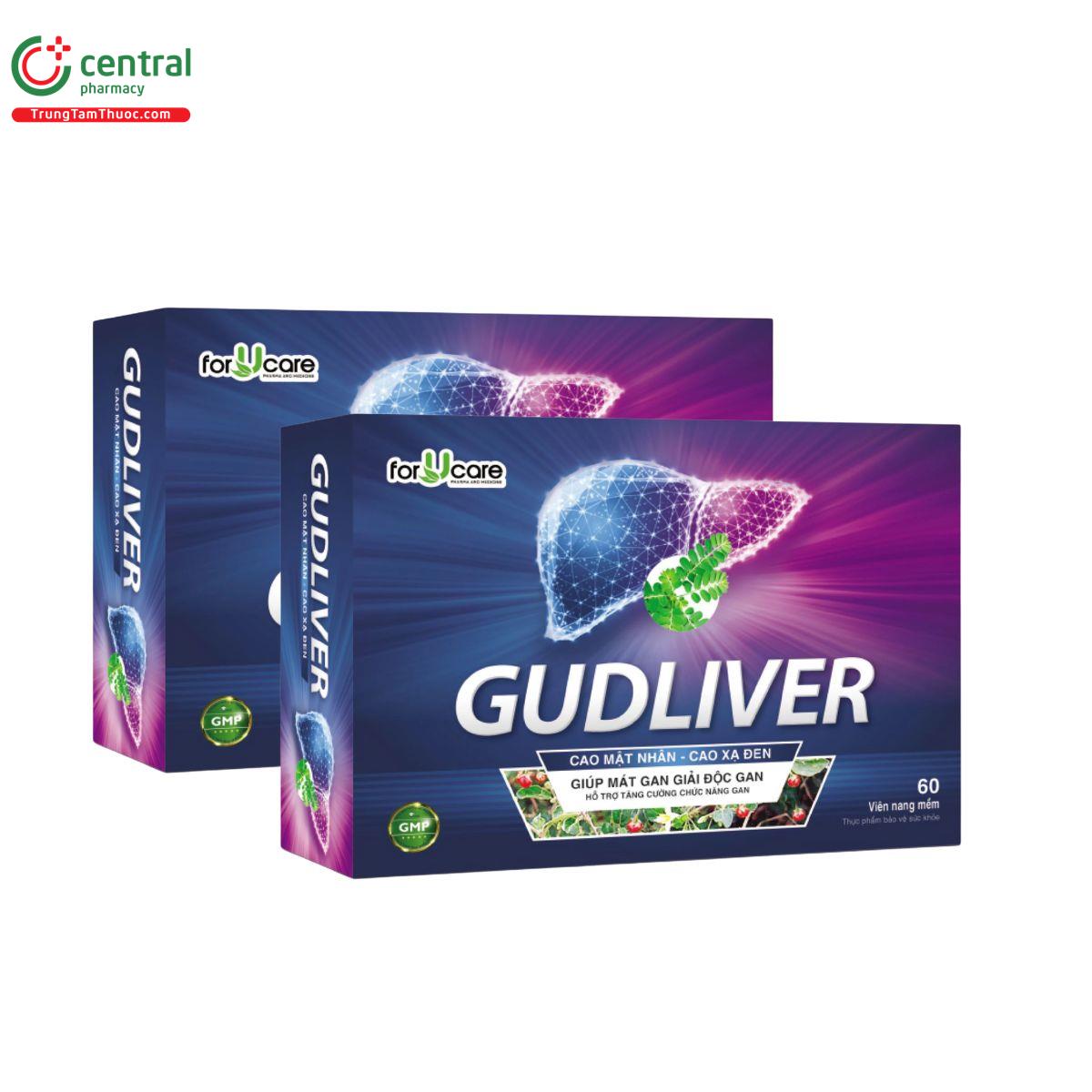 gudliver 2 R7606 gudliver 2 R7606