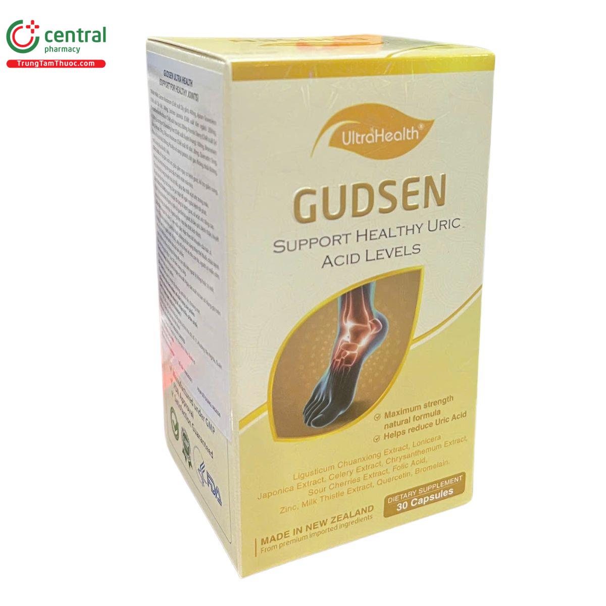 gudsen ultra health 4 D1612