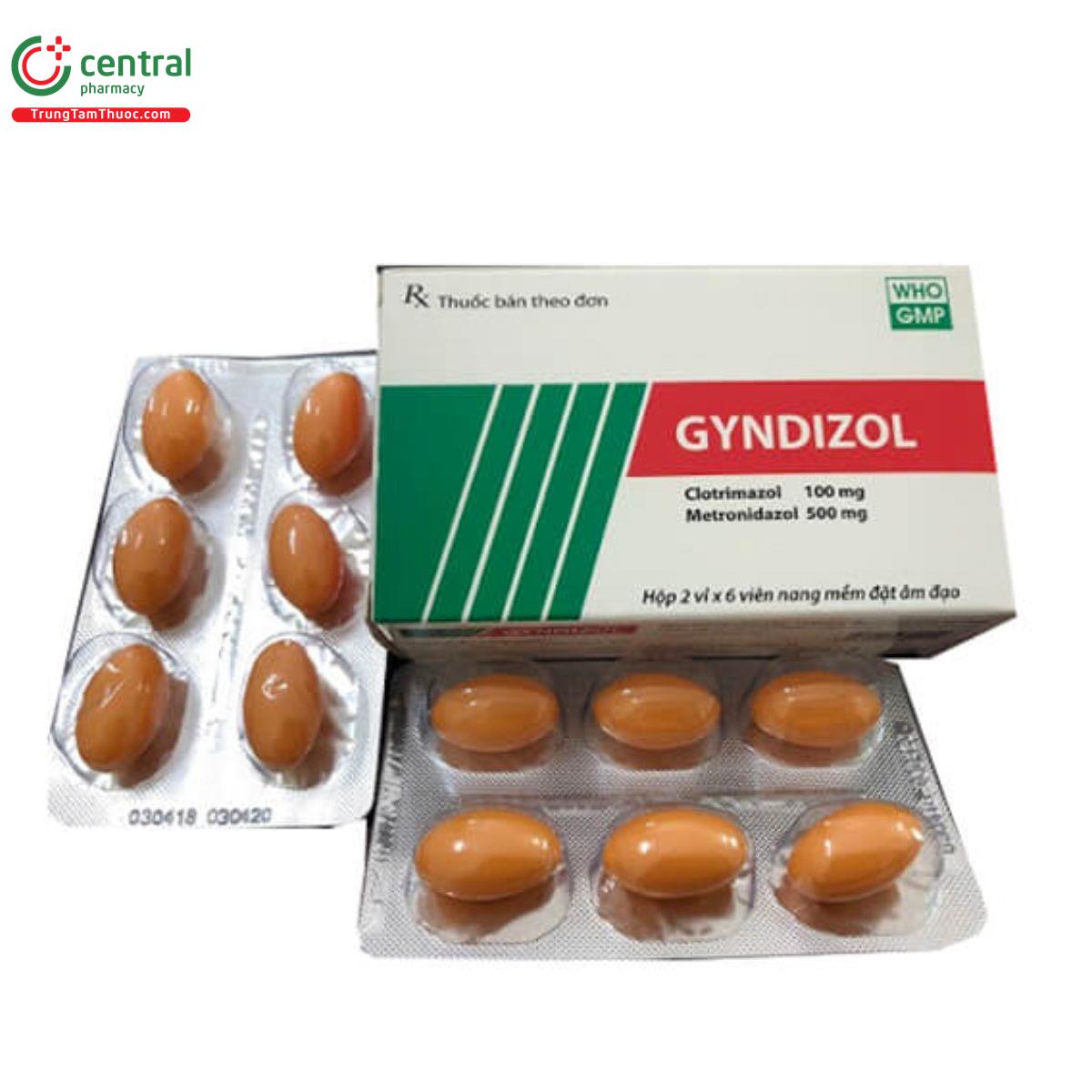 gyndizol 12 B0821 gyndizol 12 B0821