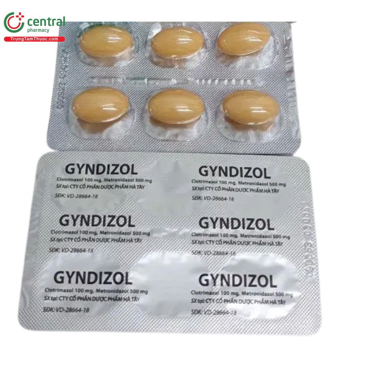 gyndizol 9 A0363 gyndizol 9 A0363