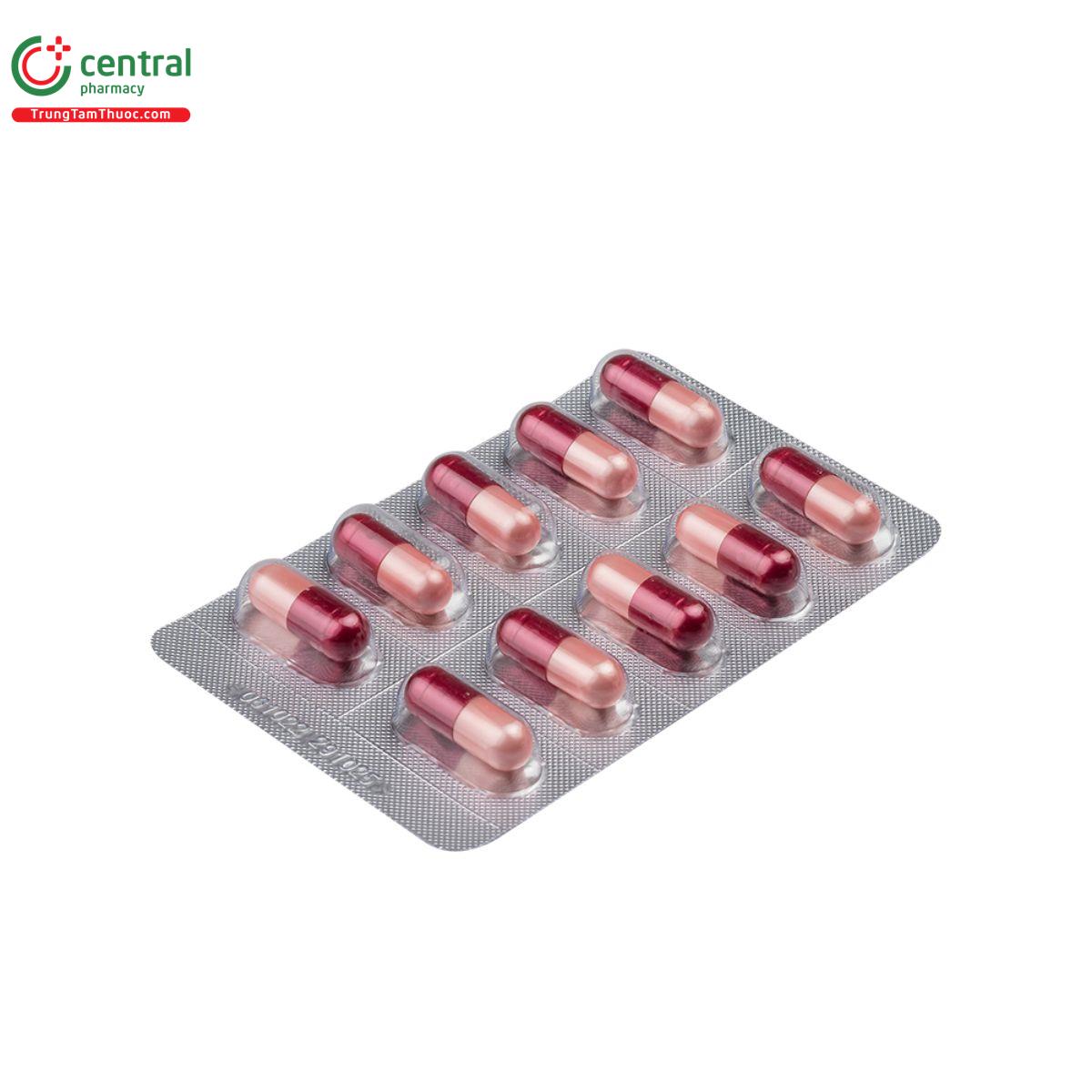 hagimox 500 hong 6 L4407