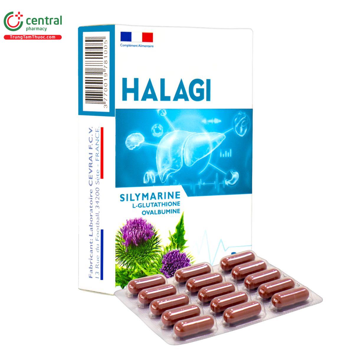 halagi 2 V8661 halagi 2 V8661