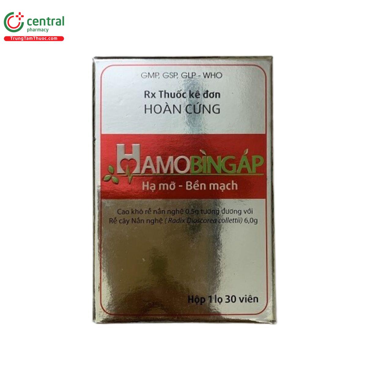 hamobingap 4 A0306