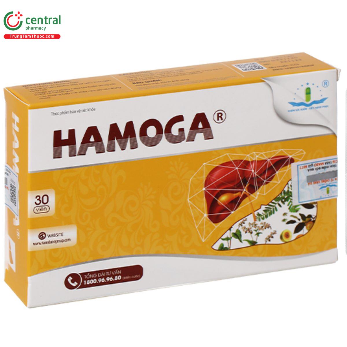 hamoga 7 P6023