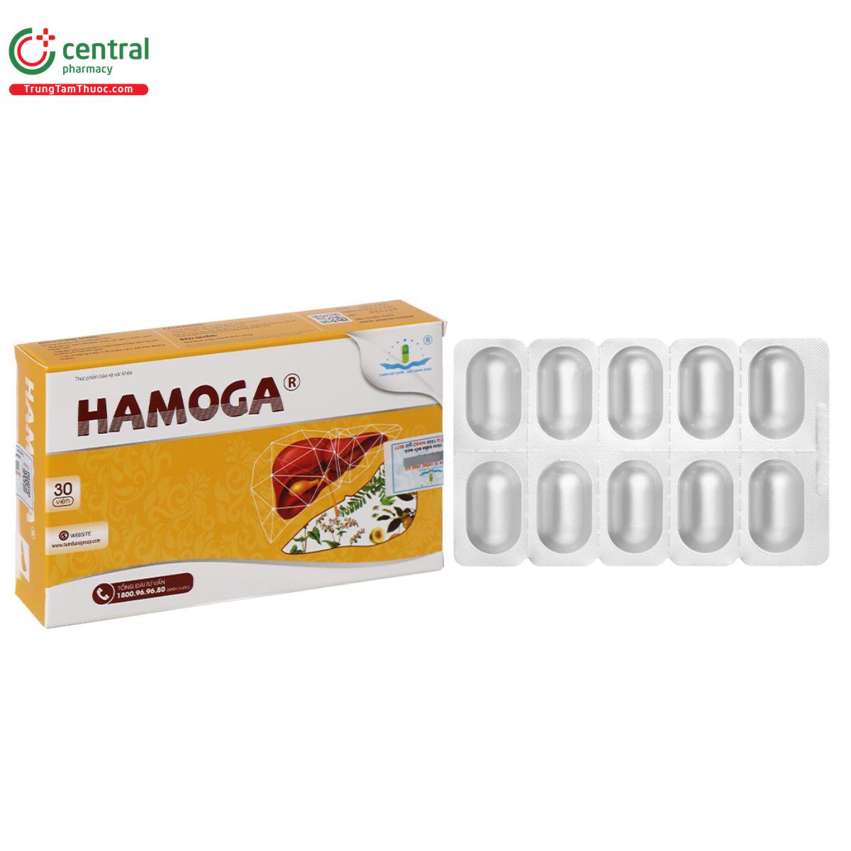 hamoga 8 F2737