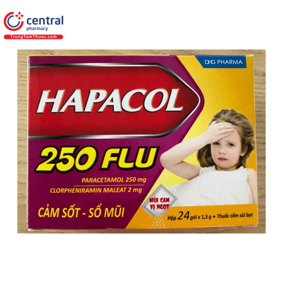 hapacol 250 flu 2 O6716