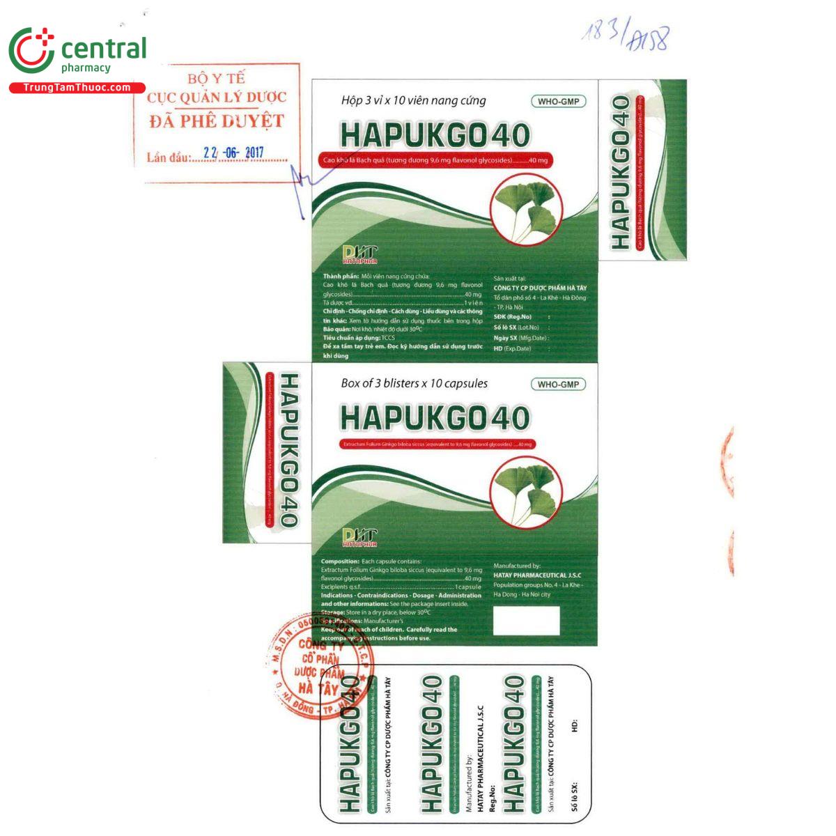 hapukgo 40 1 K4161 hapukgo 40 1 K4161
