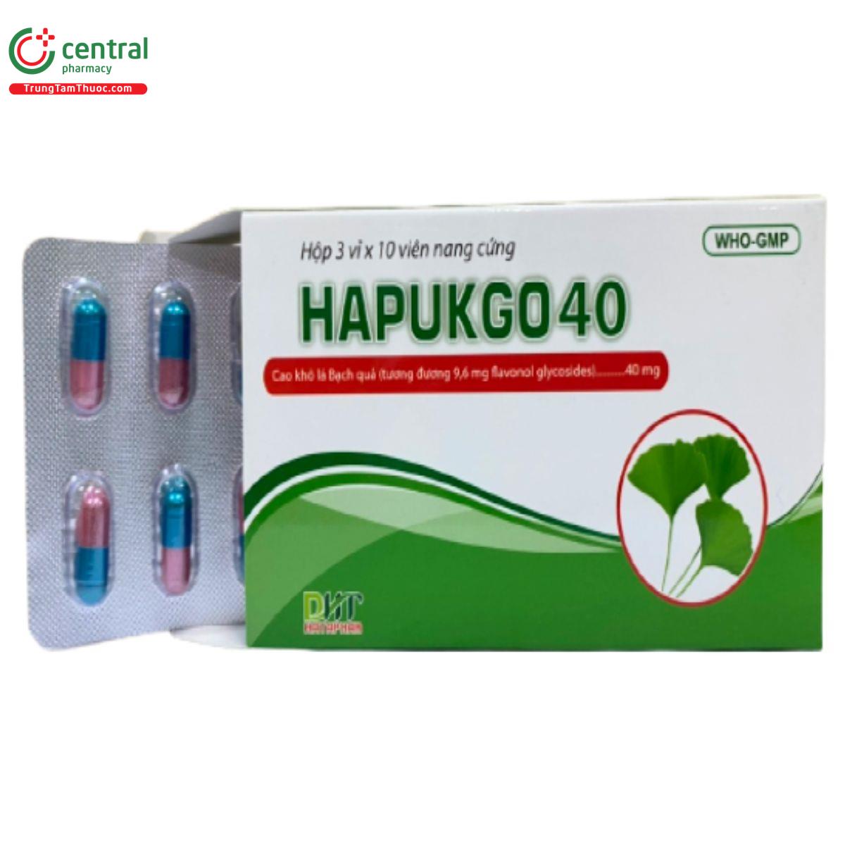 hapukgo 40 P6265 hapukgo 40 P6265