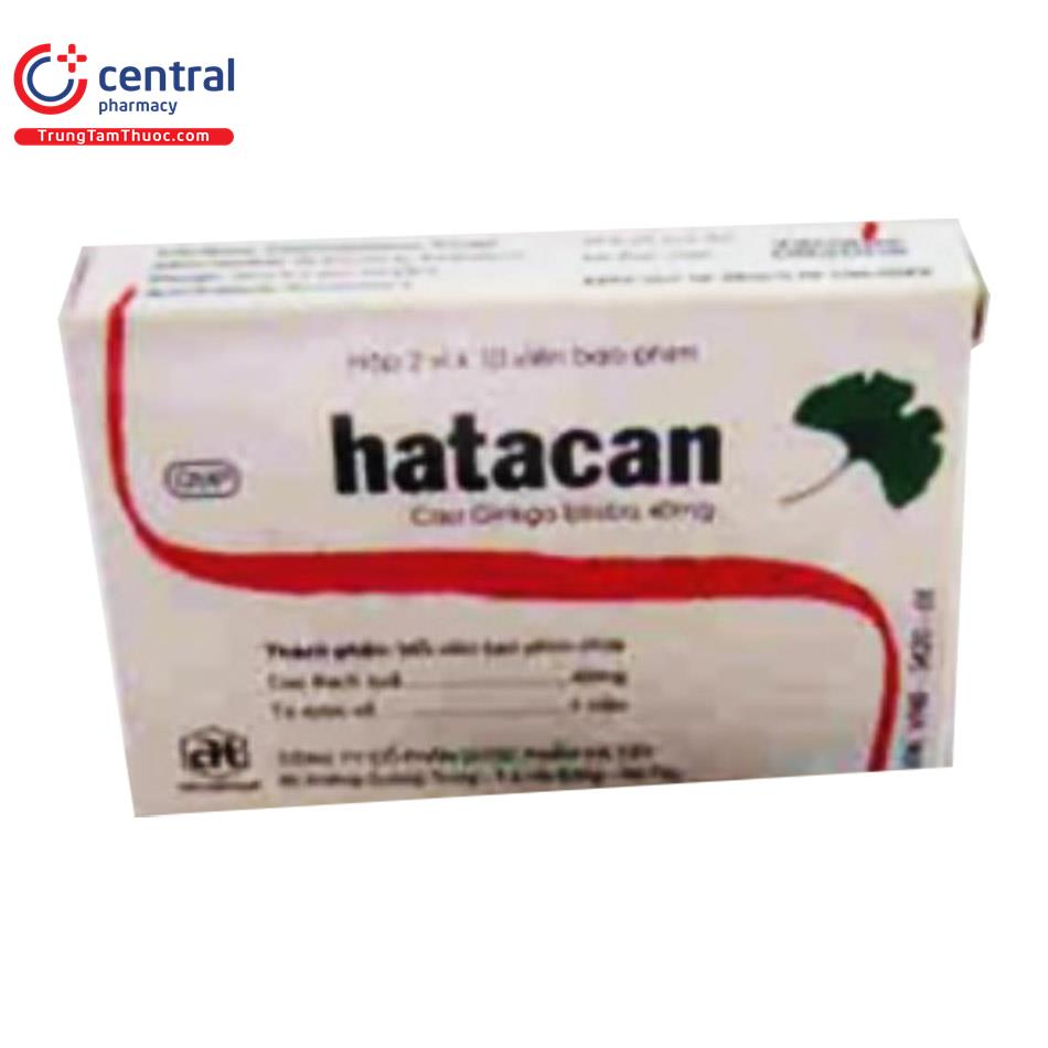 hatacan 3 Q6081