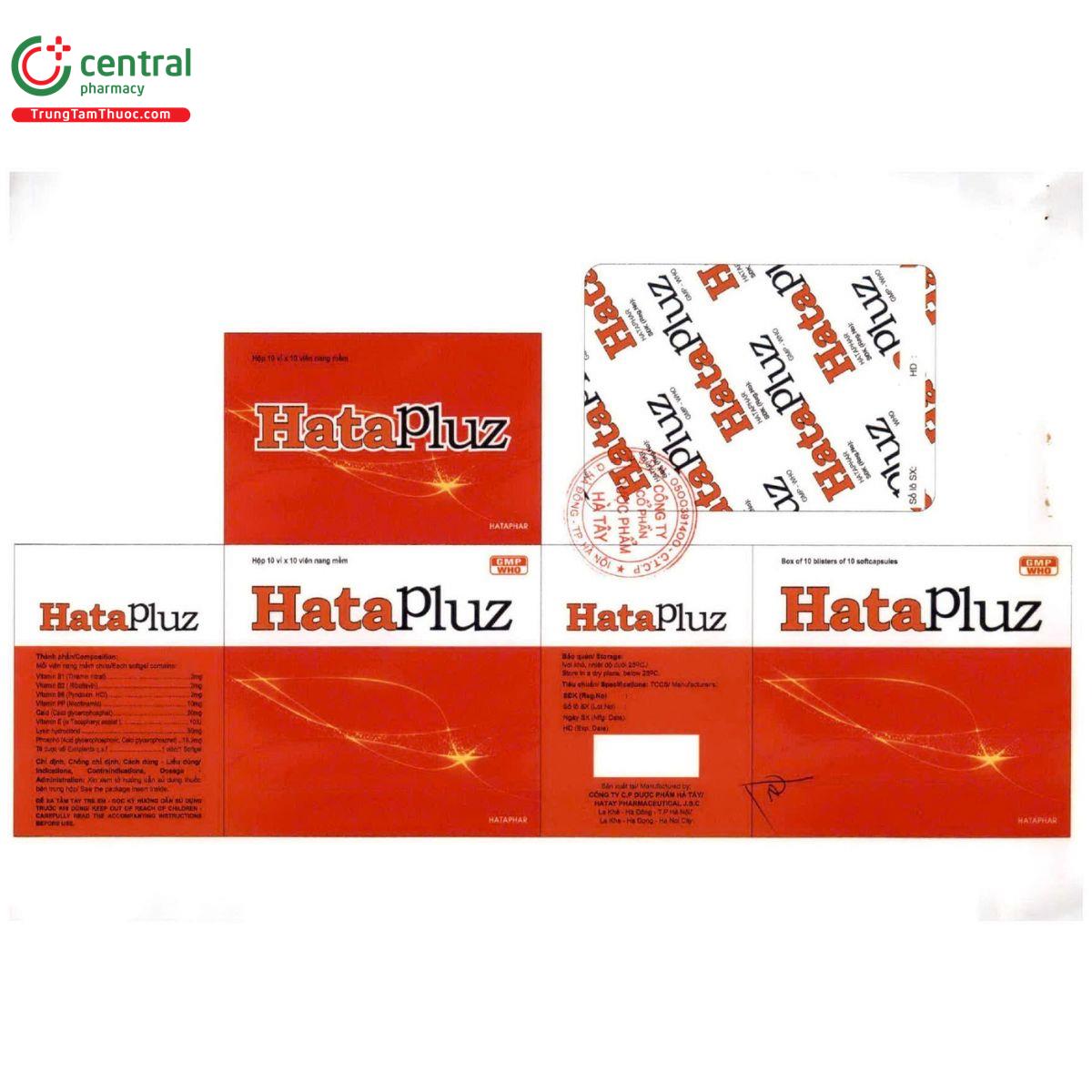 hatapluz hataphar 6 D1654 hatapluz hataphar 6 D1654