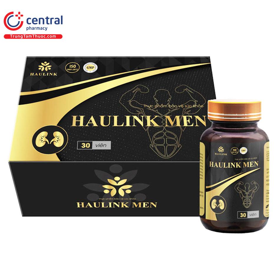 haulink men 2 F2712