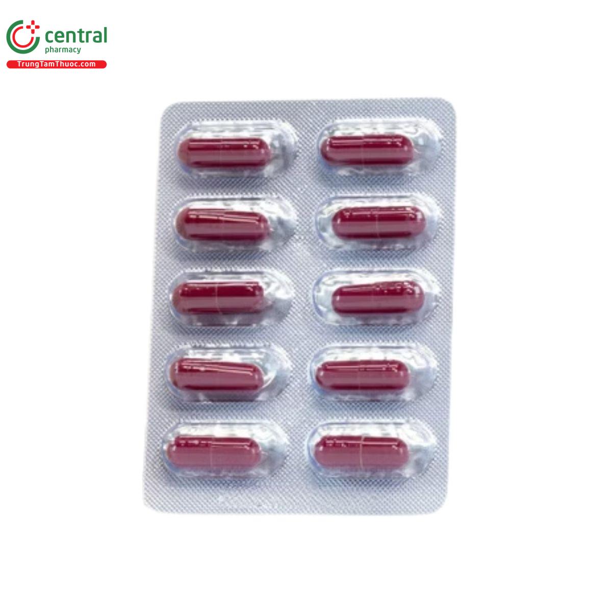 herbal wellness bo gan truong sinh 7 C0732
