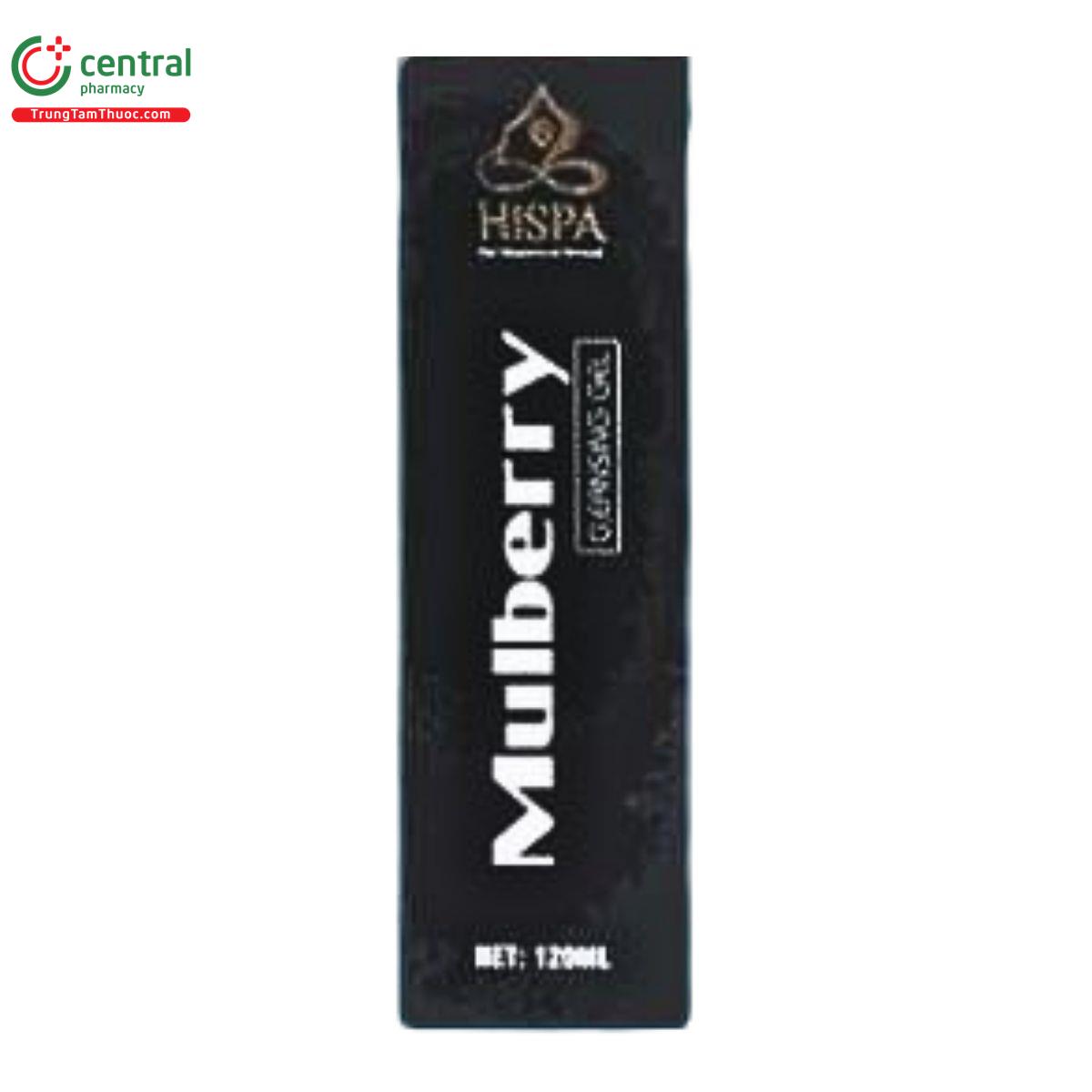 hispa mulberry cleasing gel 2 N5163 hispa mulberry cleasing gel 2 N5163