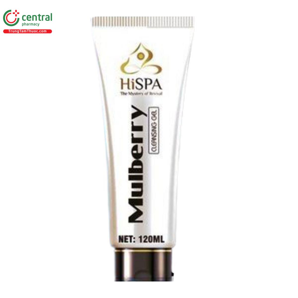 hispa mulberry cleasing gel 3 U8700 hispa mulberry cleasing gel 3 U8700