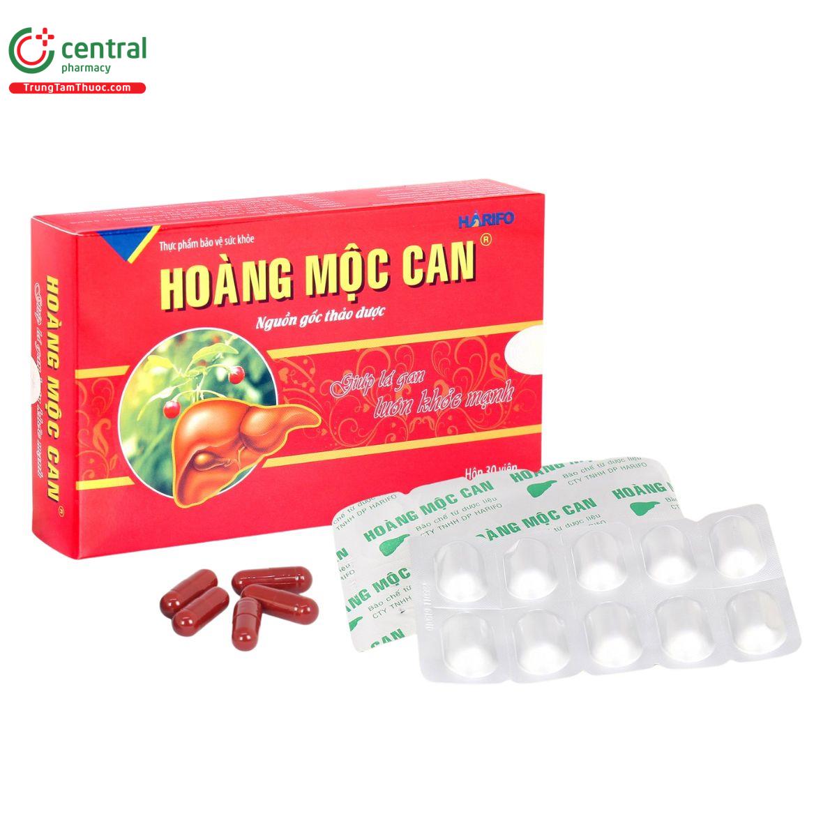 hoang moc can 6 D1751 hoang moc can 6 D1751