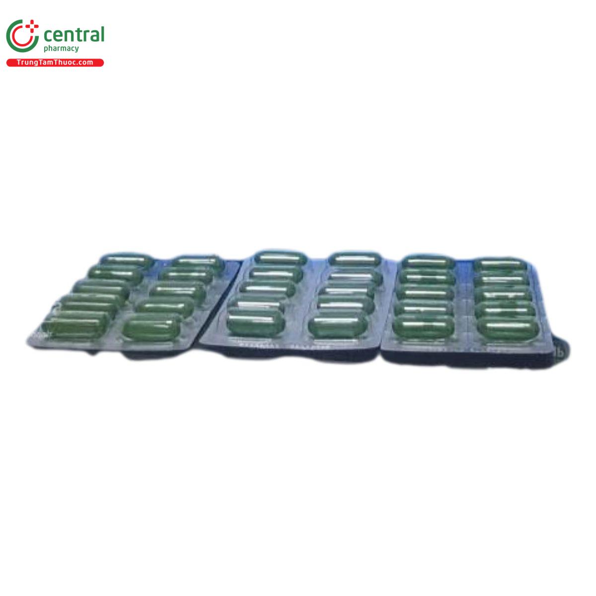 hoat huyet duong nao usm 4 B0854