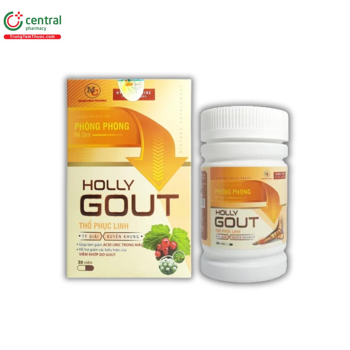 holly gout minhchien pharma 4 S7713