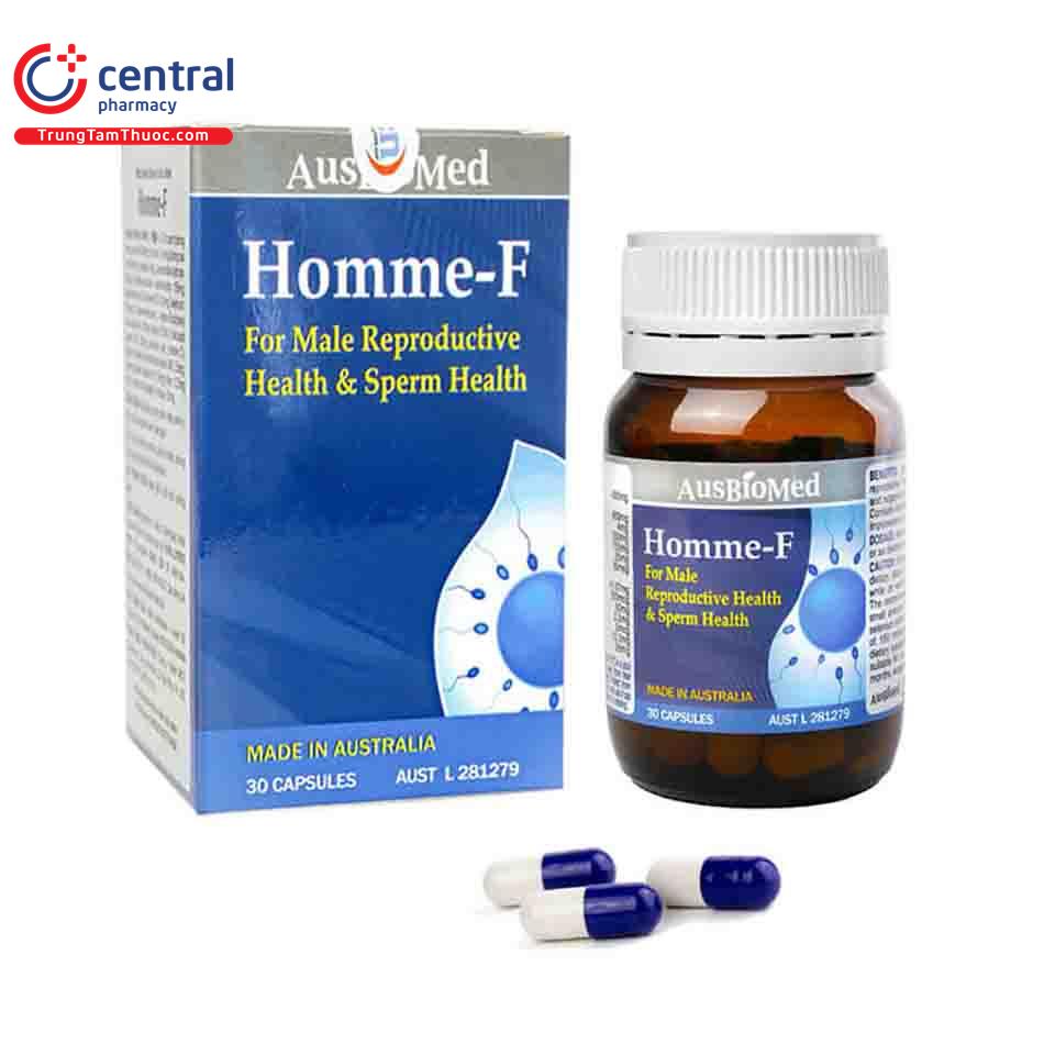 hommef 1 I3706