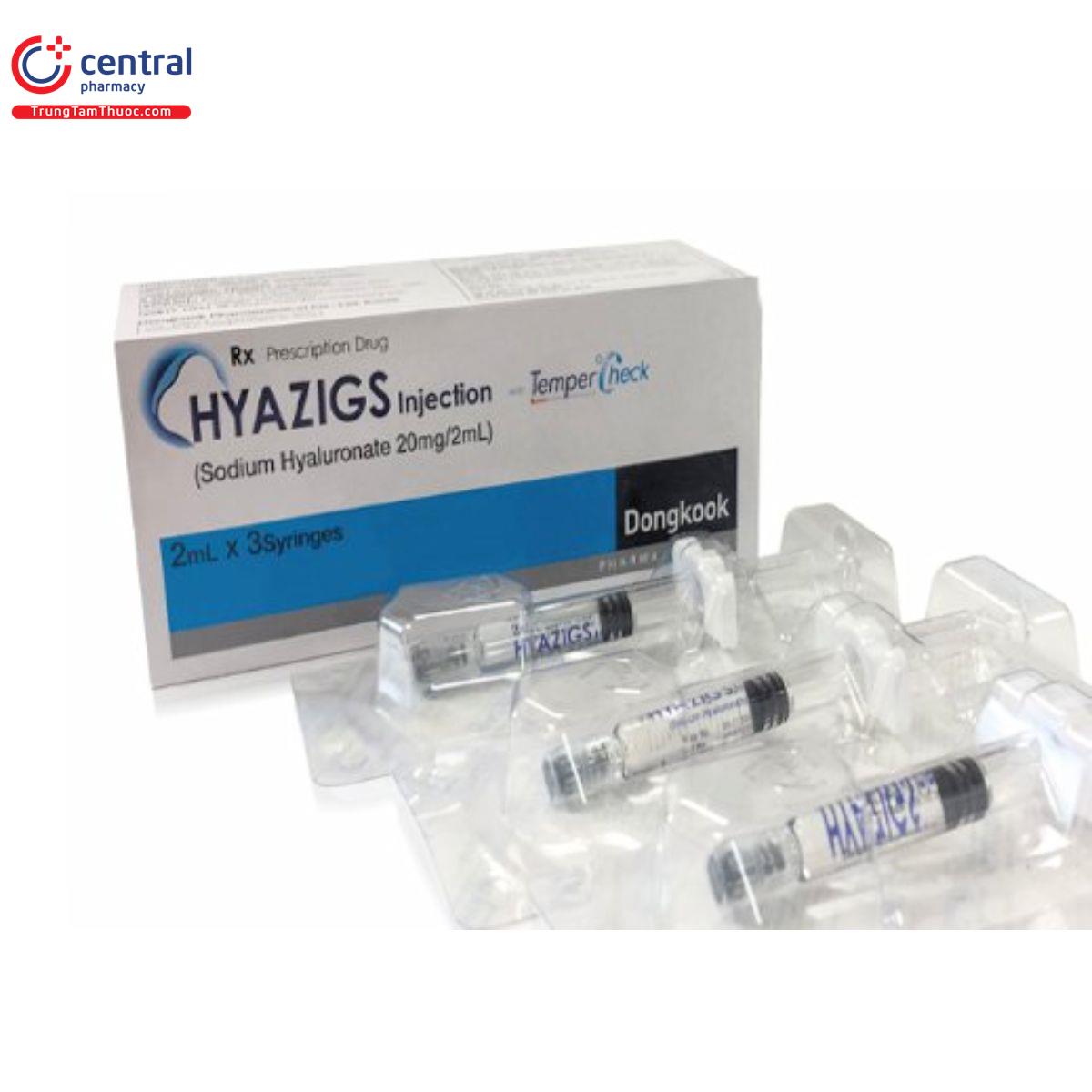 hyazigs injection 2 I3027