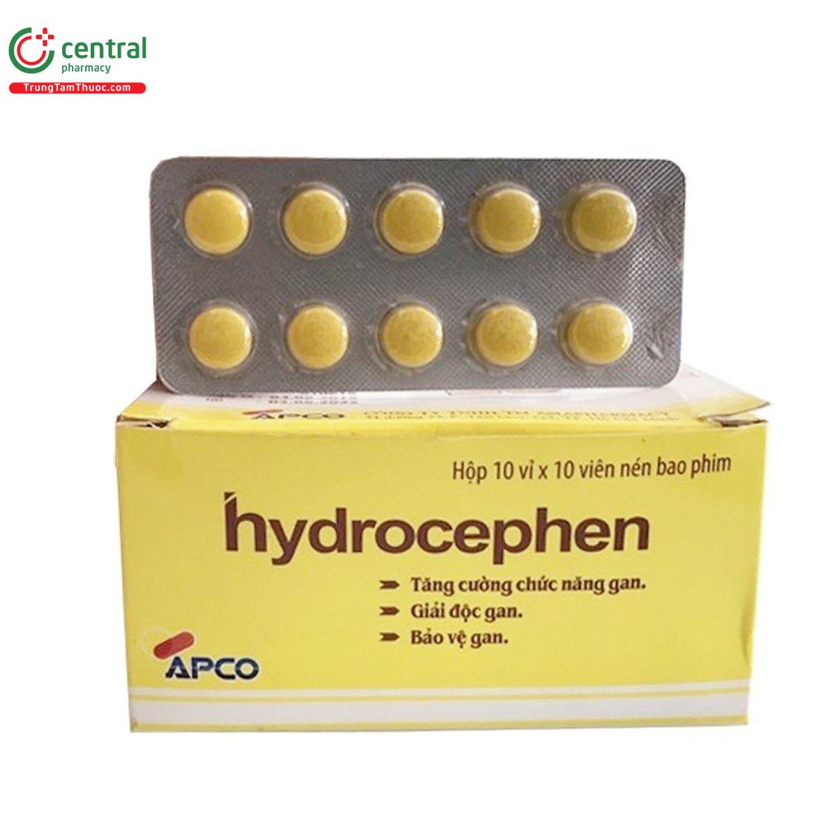 hydrocephen apco 3 B0335