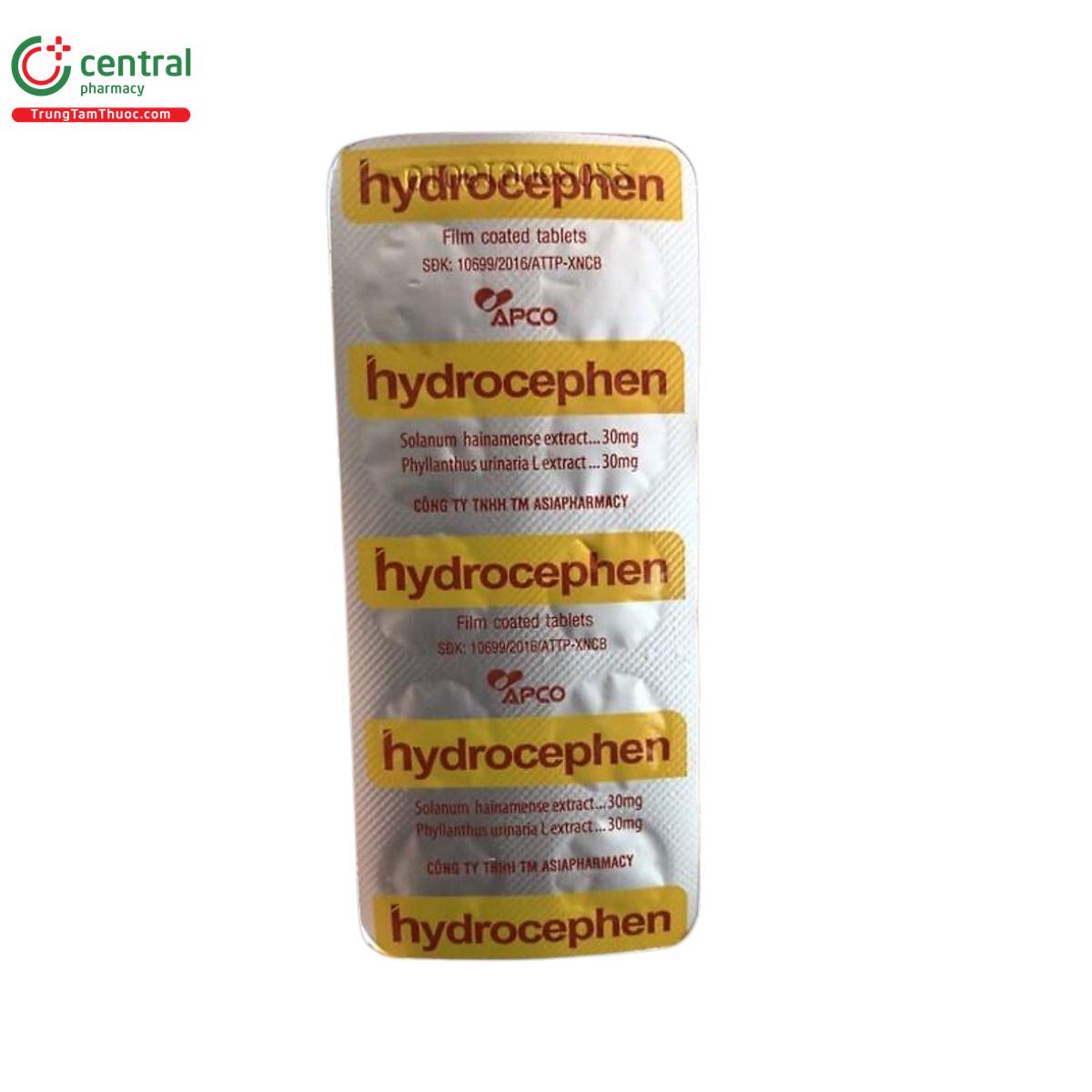 hydrocephen apco 4 A0305